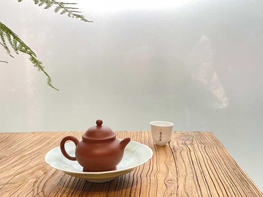 同样是泡白茶，白瓷盖碗更有层次感，紫砂壶更醇厚，是不是这样？