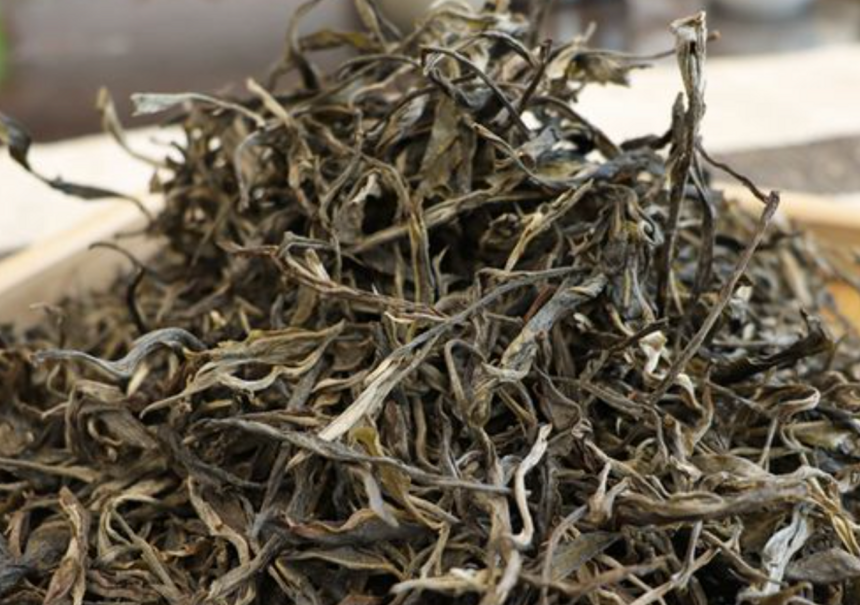 普洱茶树龄越大，茶叶品质一定越好吗？老茶人告诉你，并不绝对