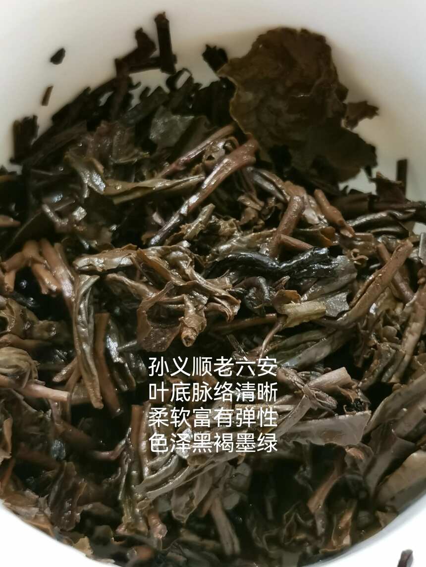 茶品鉴：温哥华回流香六安