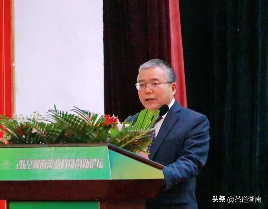 2022湖南茶业科技创新论坛在古丈县隆重举行