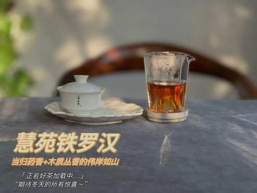 不识慧苑老丛铁罗汉，便称岩茶老饕也枉然，它是武夷岩茶的顶流？