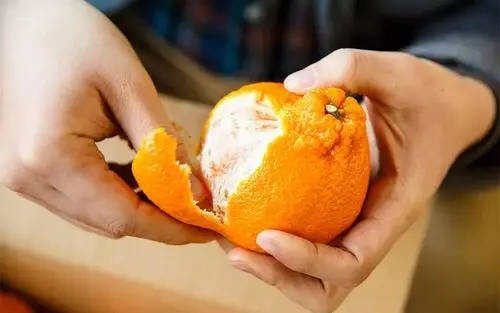 保鲜剂洗过的柑橘皮能做陈皮吗