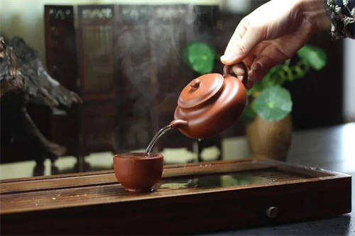 大红袍壶泡什么茶最好