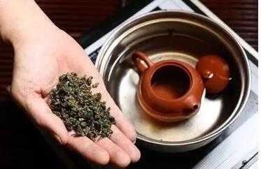 新紫砂壶开壶用什么茶叶最好