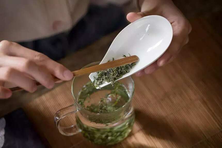 绿茶很“忌讳”用紫砂壶泡！想要茶汤鲜爽，这句绿茶顺口溜要记牢