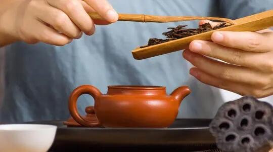紫砂壶冲泡普洱茶的主要步骤