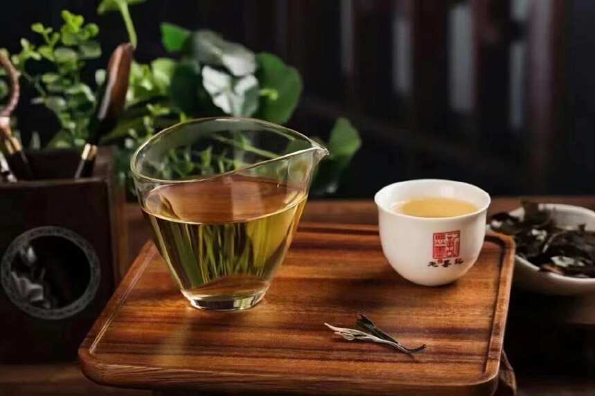 选茶小技巧｜一招教你透过茶汤颜色判别茶叶品质