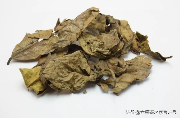 传统工艺六堡茶与绿茶的区别