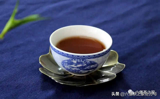 「小薰试茶」大暑天，消暑茶饮清单怎能没有六堡茶？