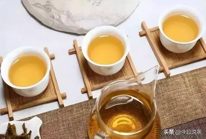 今日说茶｜喝茶时有哪些常用的品茶术语？