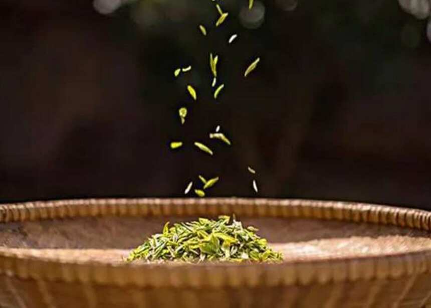 伍刻茶｜二十七期——最早的茶香，最敏感的茶叶，海南白沙绿茶