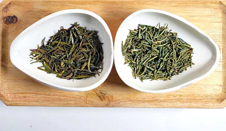 陕西与浙江的雀舌绿茶交流，开化龙顶与汉中仙毫对冲评测