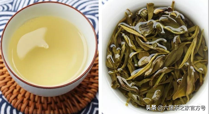 如何选购传统工艺六堡茶？