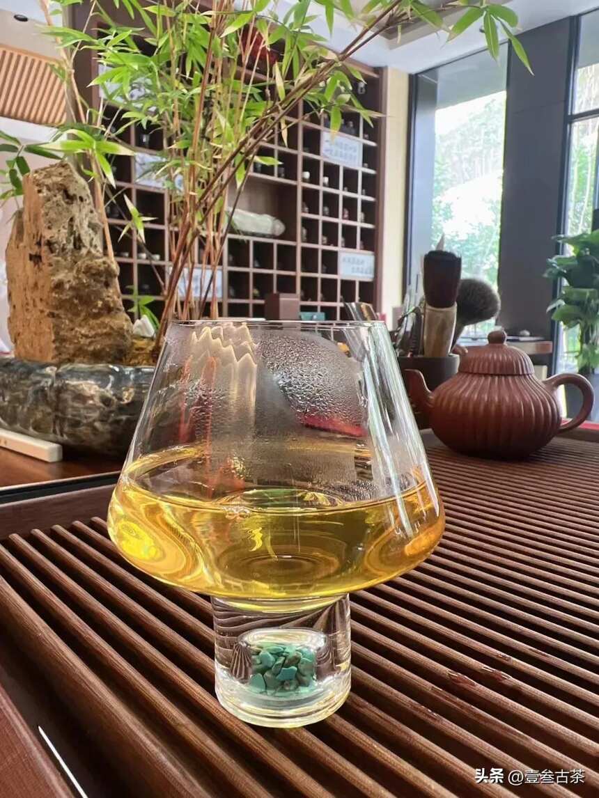 云南白茶将是中国高端白茶的天花板