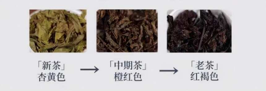 快速鉴别普洱茶的中期茶和老茶