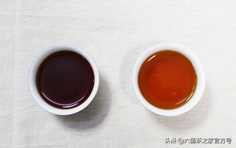 微观六堡茶（）冷水渥堆工艺，六堡和熟普有着不同理解