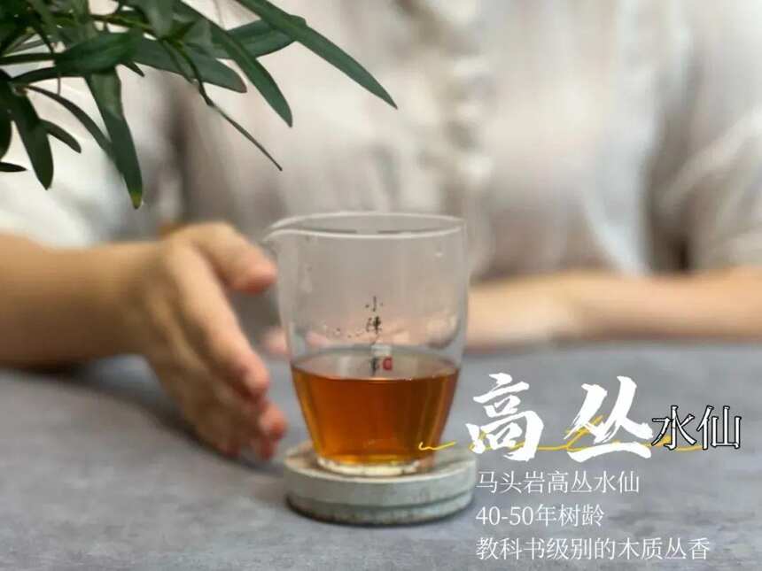 喝茶十几年，我总结了水仙岩茶的完整香型，看看你喝出几种？