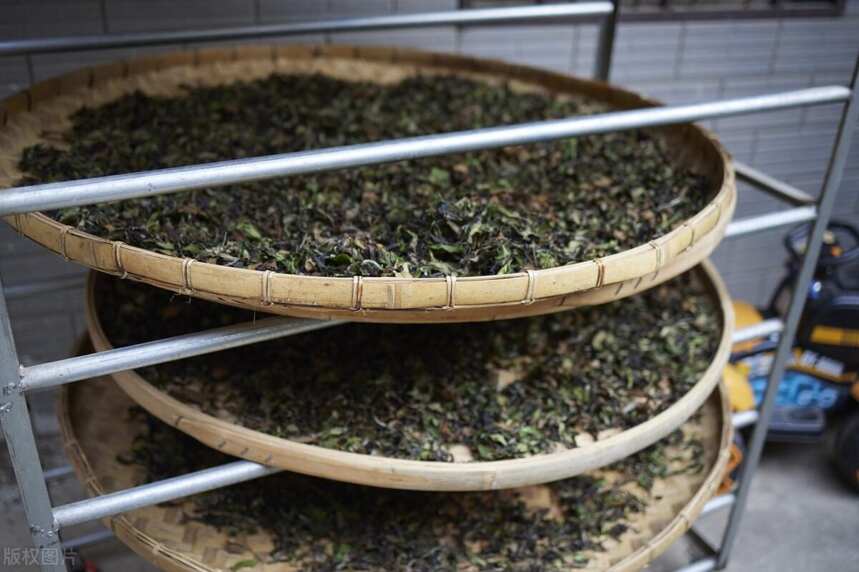 普洱茶：关于发酵