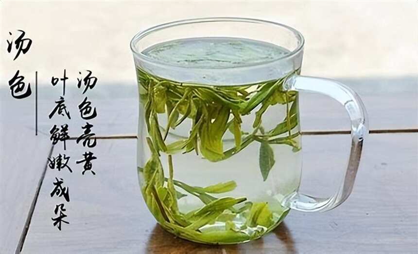 茶叶哪个品牌好？中国茶叶十大品牌排行榜专治选择困难症