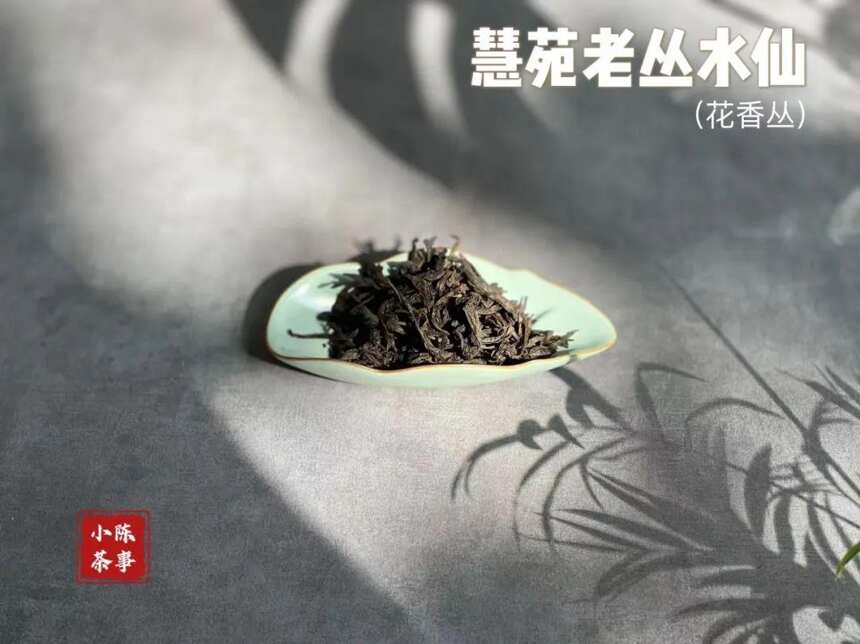 喝茶十几年，我总结了水仙岩茶的完整香型，看看你喝出几种？