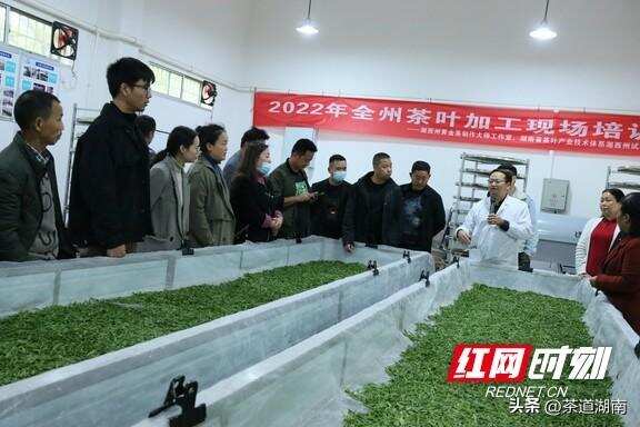 湘西州年茶叶加工技术培训班开班