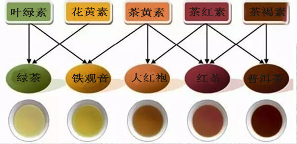 茶中的色素是怎么来的？