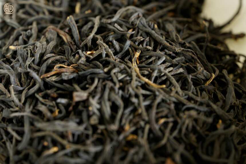今日揭秘：为什么同一款茶在不同地区的存放方法完全不同？