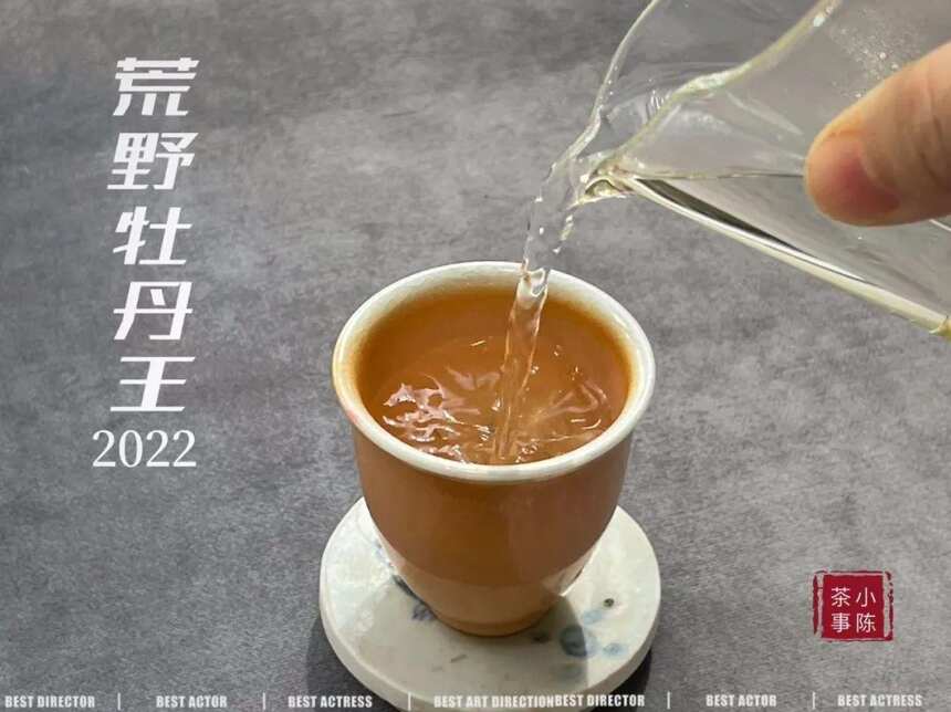 喜欢喝绿茶、岩茶、红茶、普洱茶的人，想喝白茶，怎么选比较好？