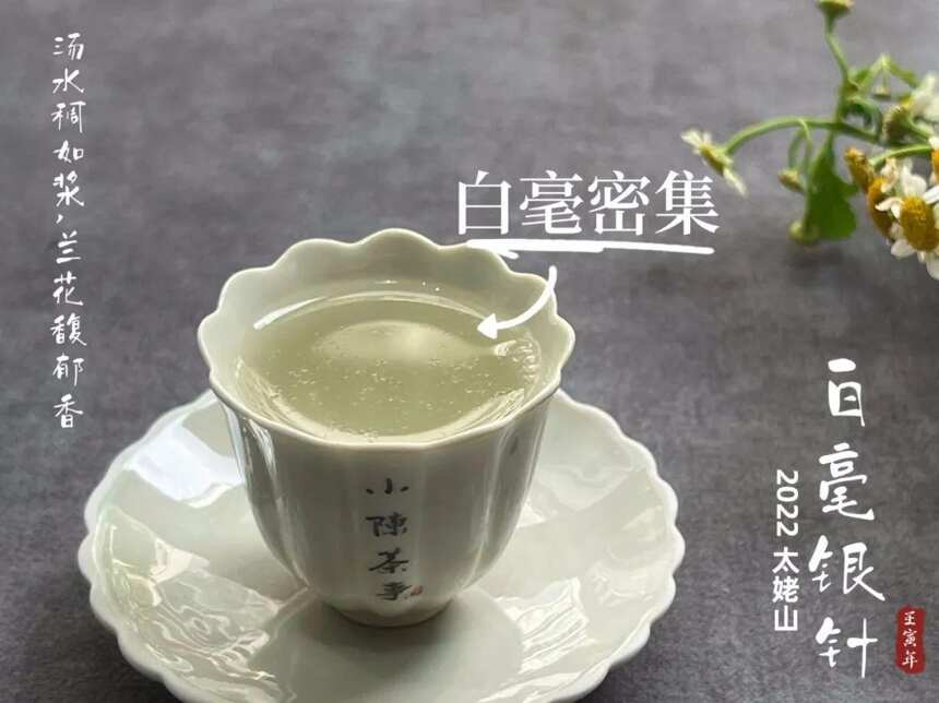 喜欢喝绿茶、岩茶、红茶、普洱茶的人，想喝白茶，怎么选比较好？