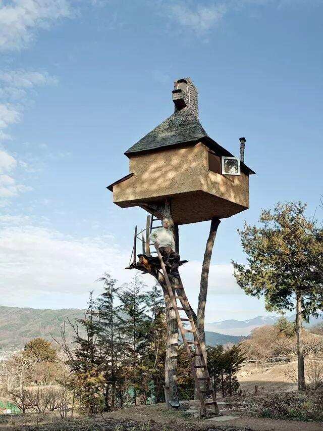 日本「 高过庵 」树屋茶室