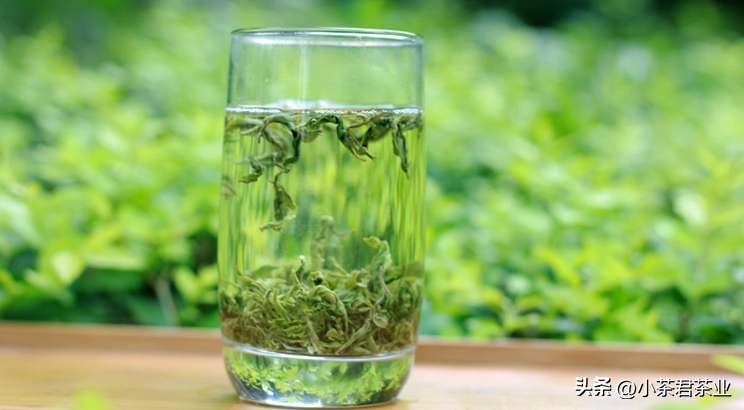 怎样让绿茶不伤胃？喝绿茶需要注意什么