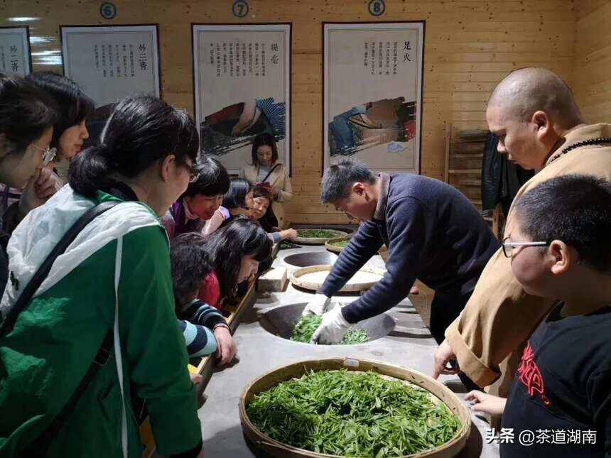 湖南有项：“中国传统制茶技艺及其相关习俗”申遗成功