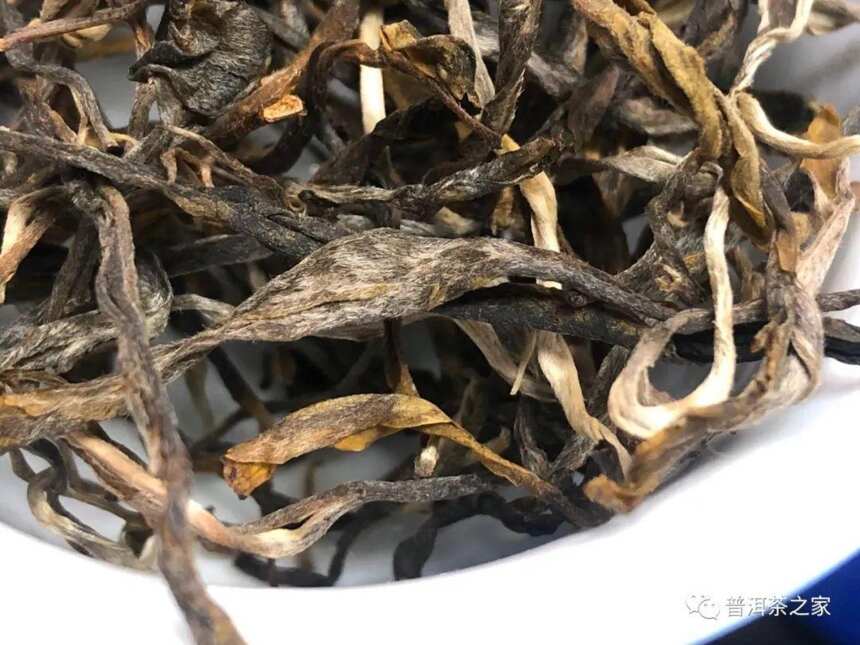 如何区分普洱茶的头春和尾春？以老班章古树茶为例，点轻松辨别