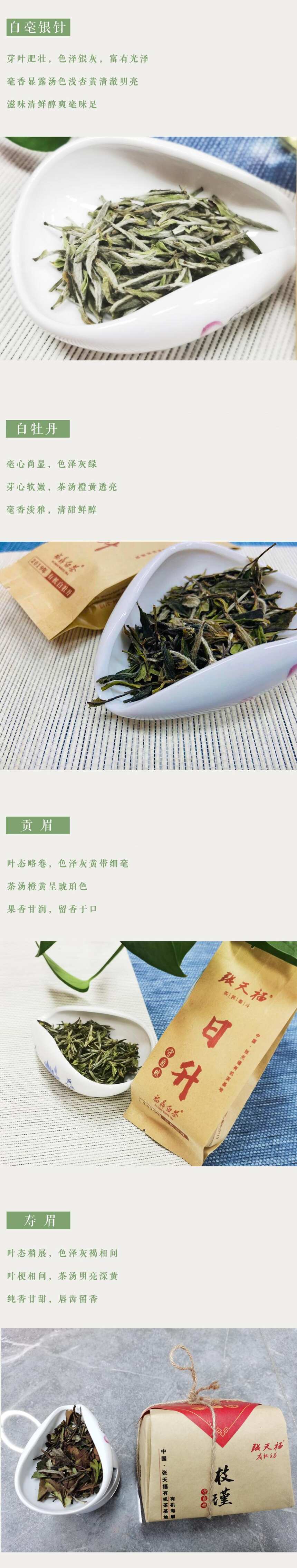 来自东方神奇的树叶「有机白茶」