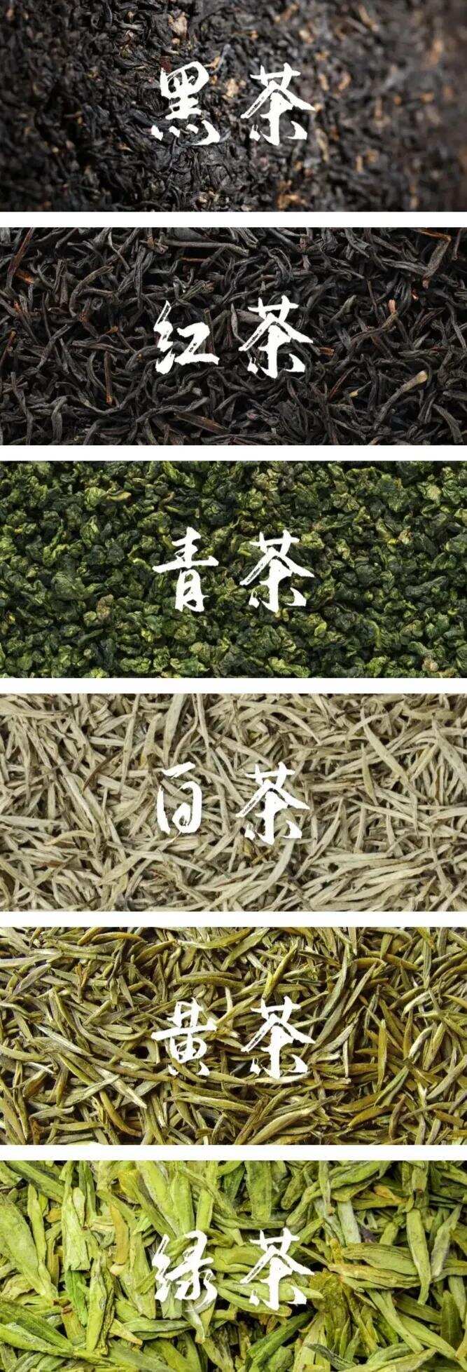 中国茶“申遗”成功，六大茶类你了解多少？一文看遍中国茶