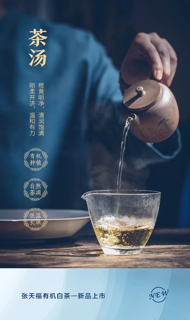 张天福有机白茶新品上市「祥瑞」「芙荷蓉」