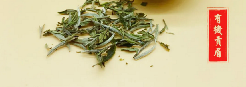 有机白茶入门系列：如何区分白茶的品种和等级？