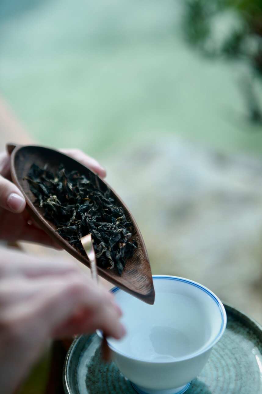 陈年武夷岩茶，陈岩茶，老岩茶，都是啥？怎么区分