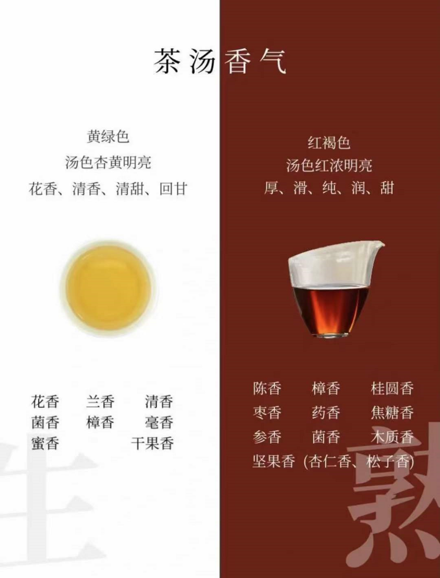 普洱生茶与普洱熟茶的区别