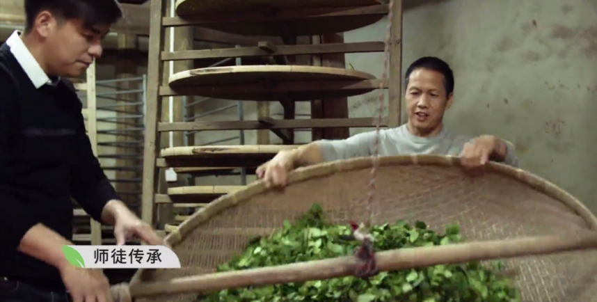 划重点：什么是“中国传统制茶技艺及其相关习俗”