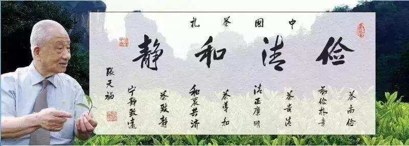 茶界泰斗张天福 百年岁月铸就人生丰碑