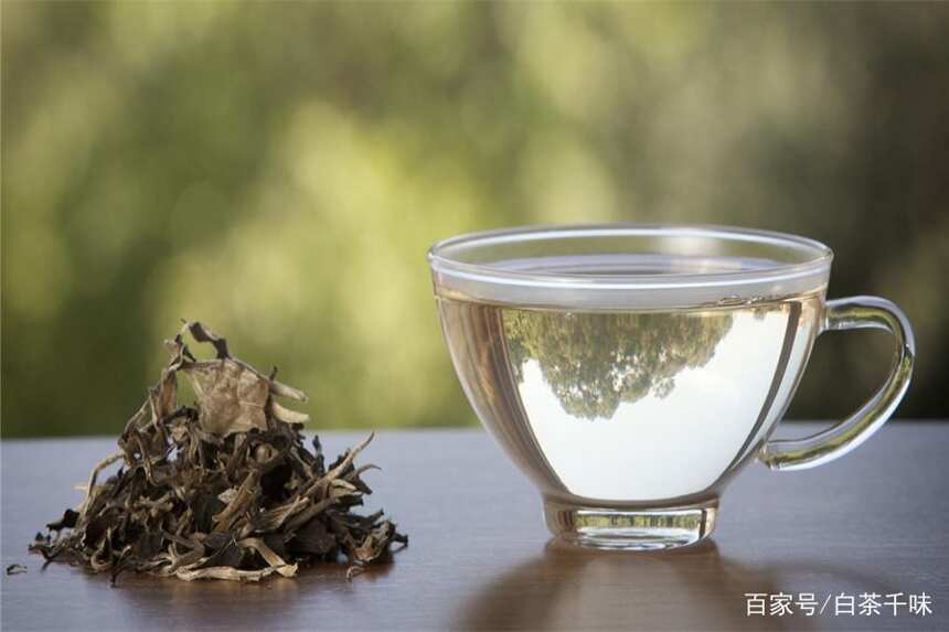 陶瓷茶壶和紫砂壶哪个好？