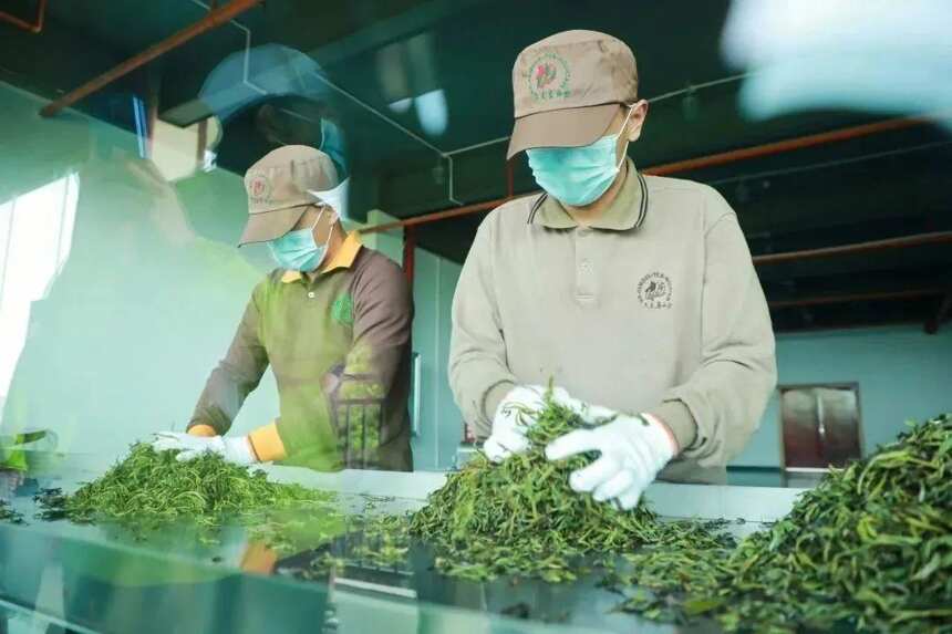 六大茶山列入农业产业化省级龙头企业监测合格名单