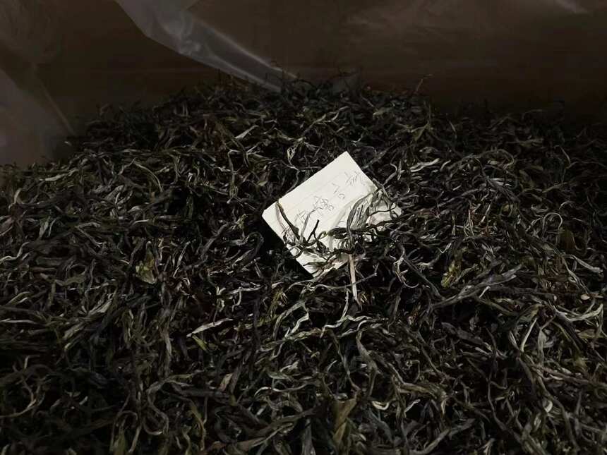 即便是资深茶友也不能错过的5条古树茶干货