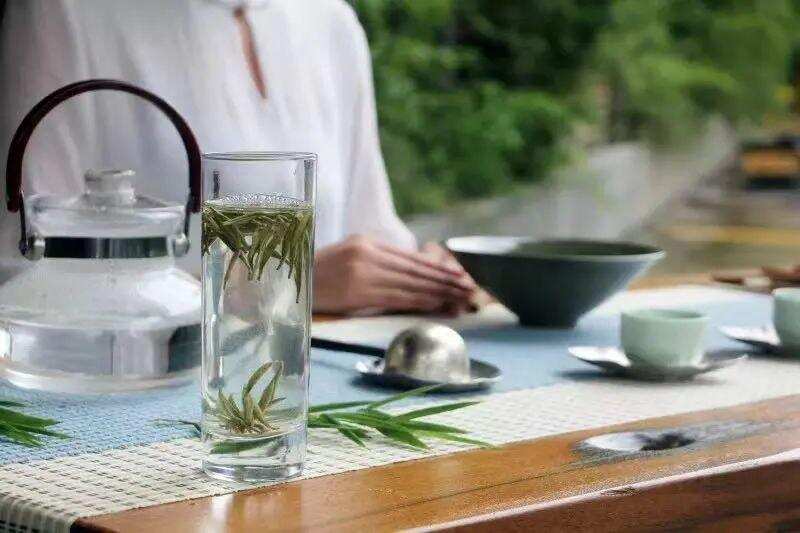 冷泡白茶丨浅握清风觅清凉，源于古代的夏日茶饮攻略