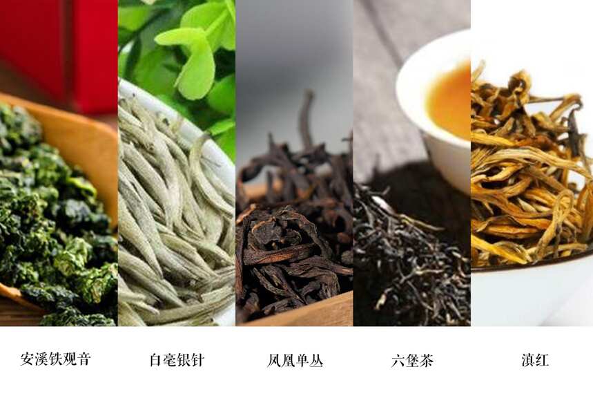 搞懂四大茶叶产区，也就基本搞懂我国有哪些产茶大省和名茶了