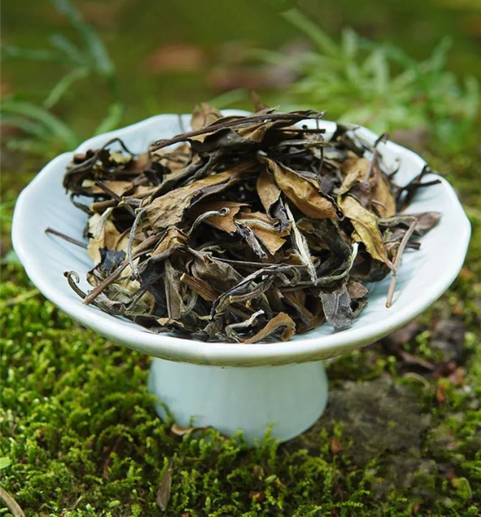 白茶丨荒野寿眉，本来就该这样