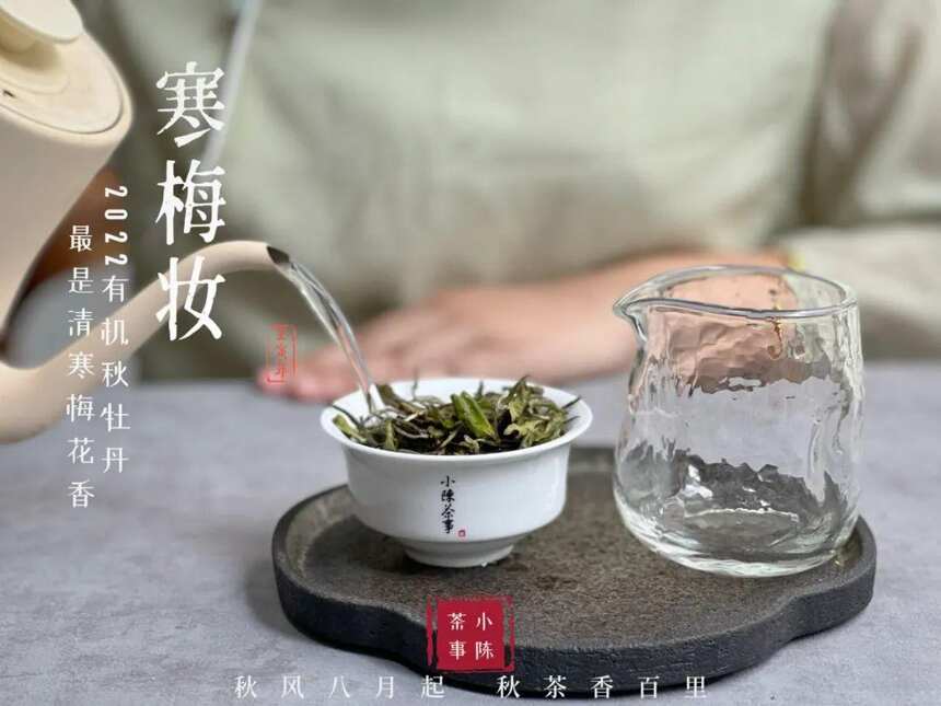 上千元的紫砂壶，泡白茶没有几十块的盖碗实用，它怎么了？