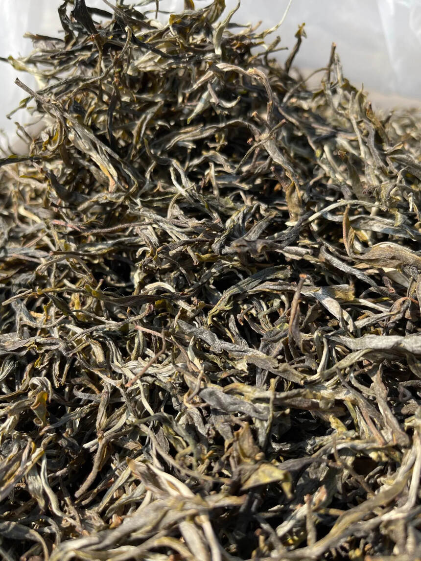 2021年贺开乔木茶混采500公斤，品质口粮。#茶生