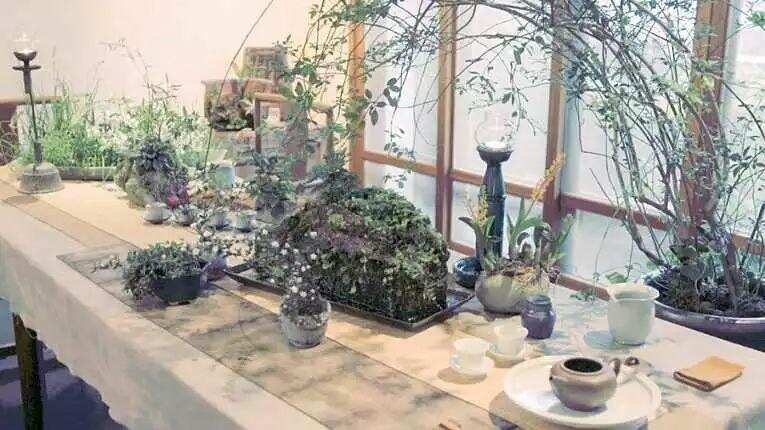 台湾茶空间「 清香斋 」茶室